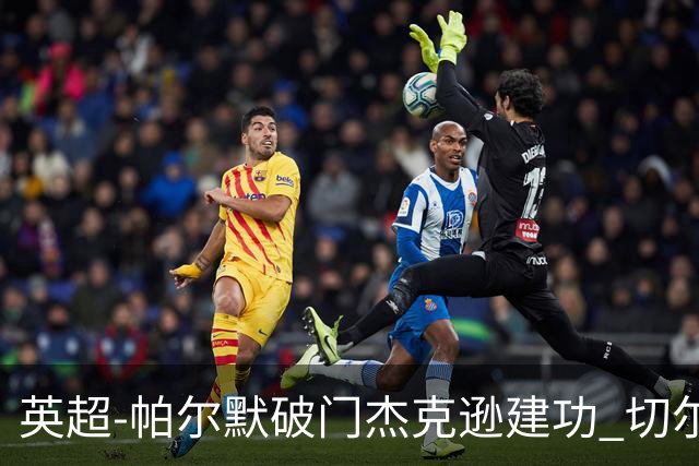 英超-帕尔默破门杰克逊建功 切尔西2-1纽卡斯尔